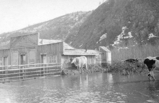 Flood, c1910.