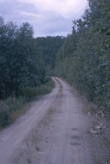 Road to Harry Leamon's Claim, Bonanza Creek, c1958.