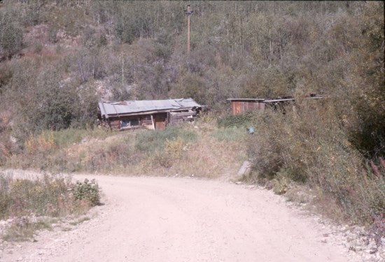 Harry Leamon's Cabin, Bonanza Creek, c1958.
