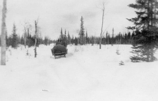 On the Trail to Dawson,1931