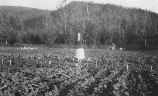 Gladys Chambers and her Garden, c1932