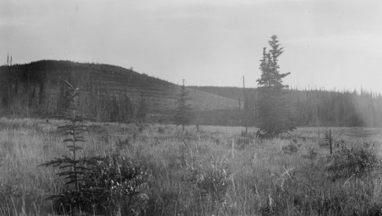 Landscape in the Yukon, c1935