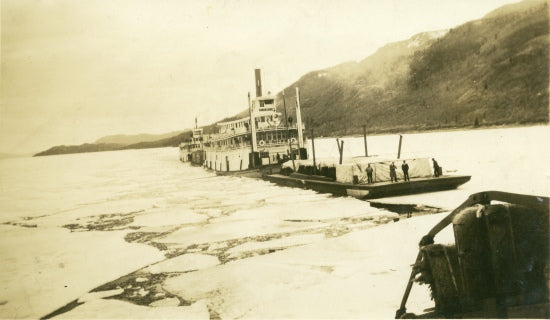 Sternwheelers on the Yukon River, n.d.