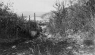Dawson City, c1930.