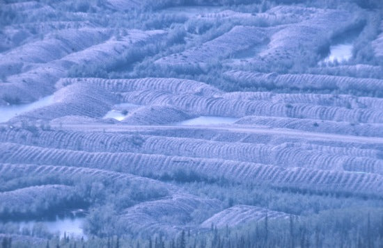 Dredge Tailings, 1970.