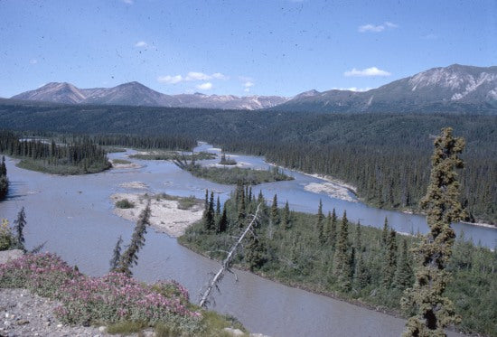Yukon River, 1970.