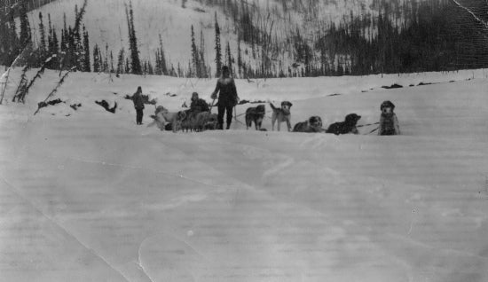 Travelling by Dog Sled, n.d.
