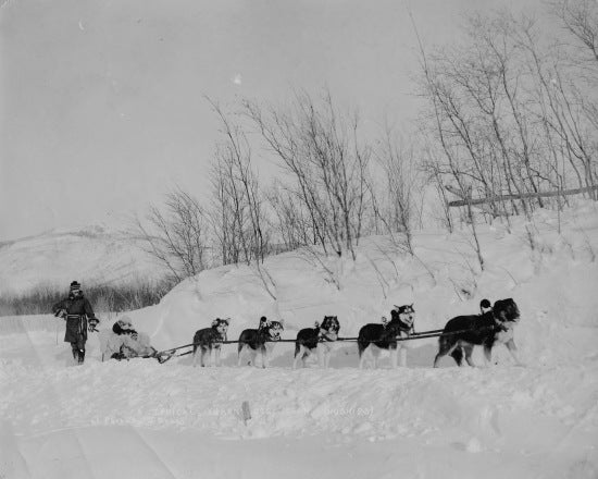 A Typical Yukon Dog Team, c1912.