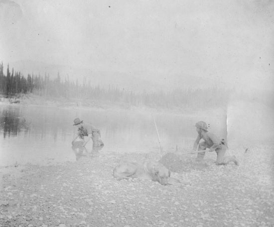 Panning a River, c1901.