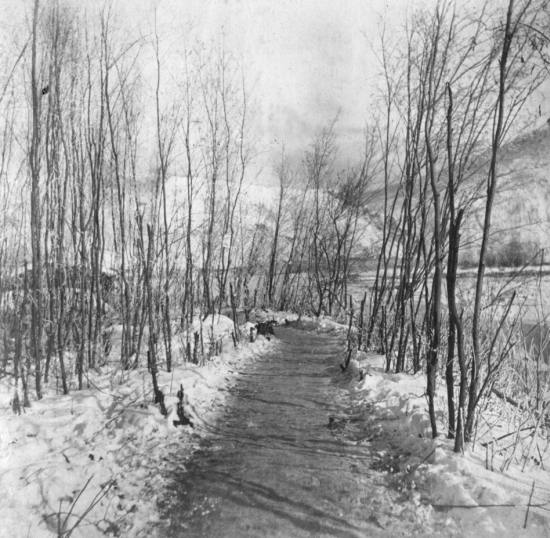 Scenic View,  c1900.