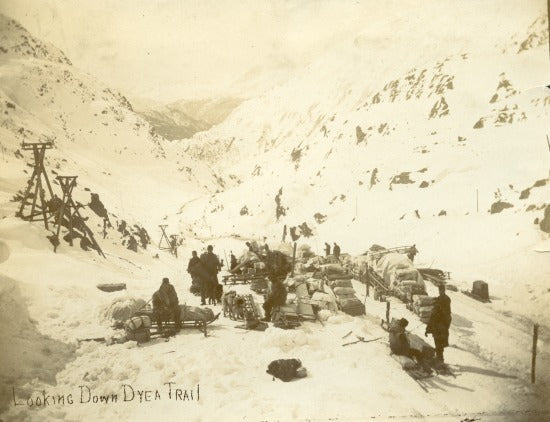 Looking Down Dyea Trail, c1898.