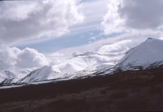 Ogilvie Mountains, May 1976.