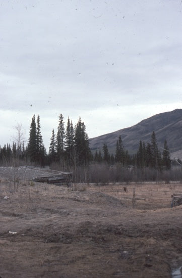 Scenic View, May 1976.
