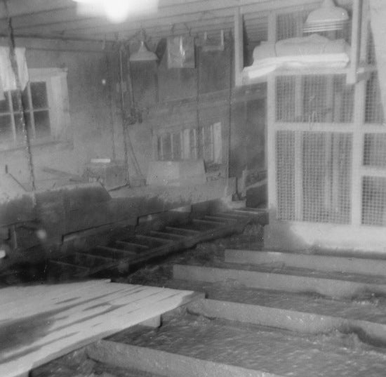 Gold Room, No. 9 Dredge, c1953.