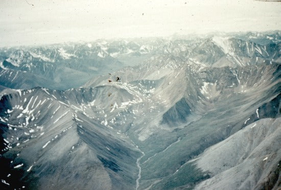 Aerial View, c1950.