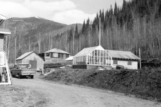 Forestry Out Buildings, c1975