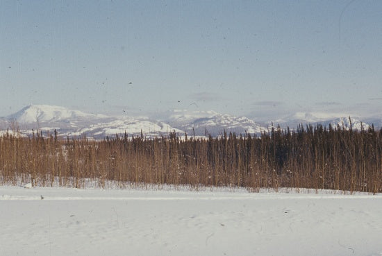 Scenic View, c1982.