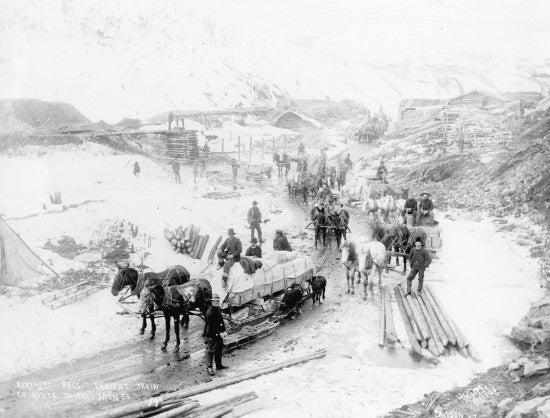 Bartlett Brothers Freight Train En Route to the Mines, c1900