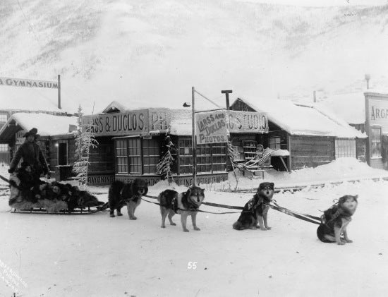 Travellers with Sled Dog Team, Dawson City, c1900.