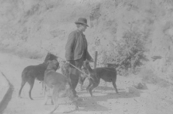 Walking the Dogs, c1921.