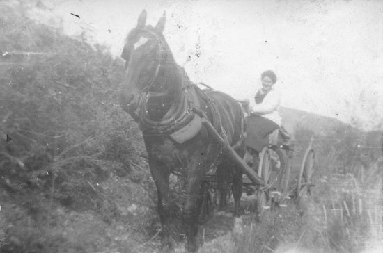 Travelling by Horse Drawn Wagon, c1921.