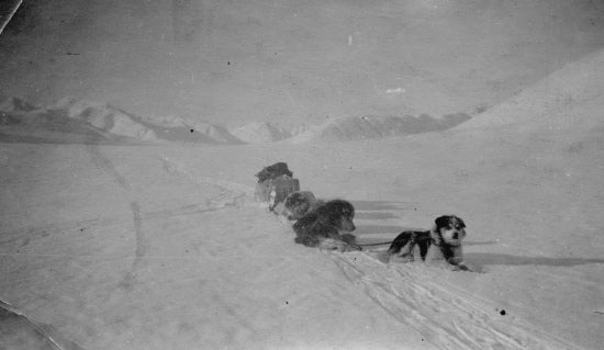 Travelling by Dog Sled, c1921.