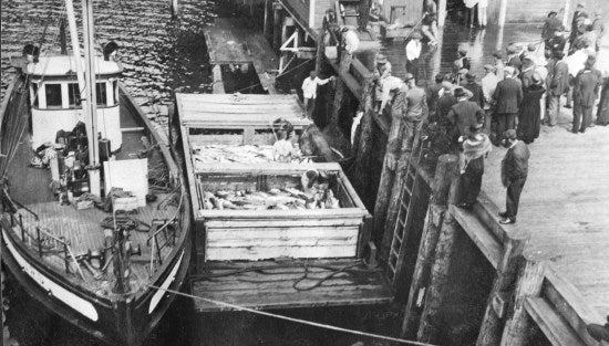 Tied up at the Wharf, c1921.