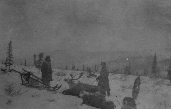 Caribou Season, c1921.