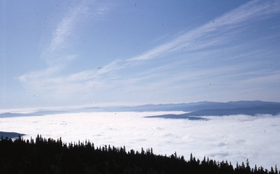 Bank of Fog on the Yukon River, August, 1966.