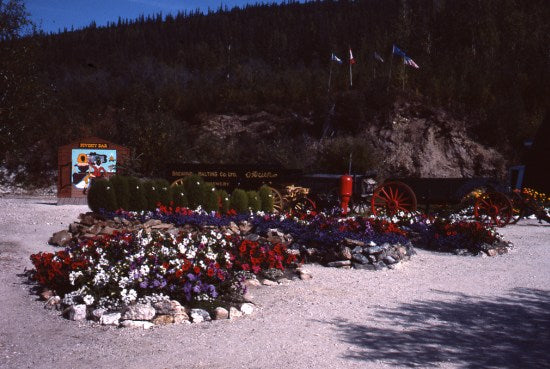 Poverty Bar, cAugust 1982.