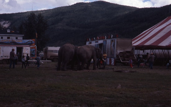 Circus in Minto Park, July, 1982.