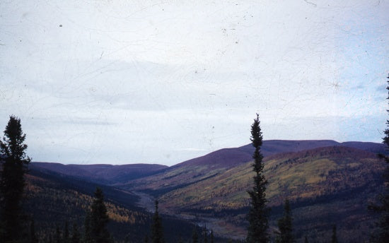 Glacier Creek, September 1955.