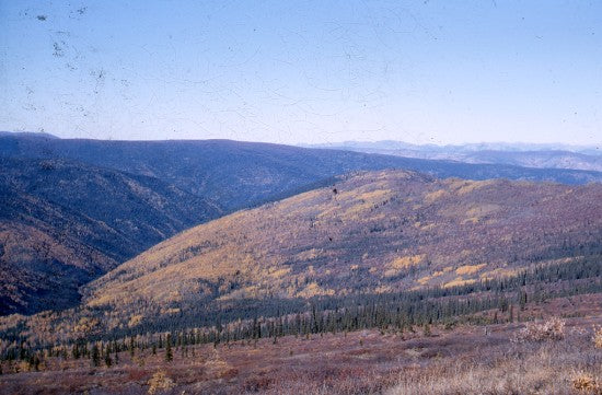 View from Sixty Mile Road, September 12, 1965.
