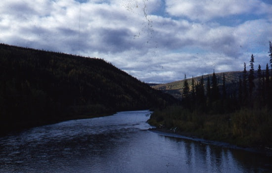 Forty Mile River, August 1955.