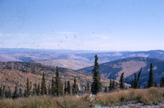 View from Sixty Mile Road, September, 1965.