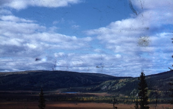 Road to Tok Alaska, August 1955.