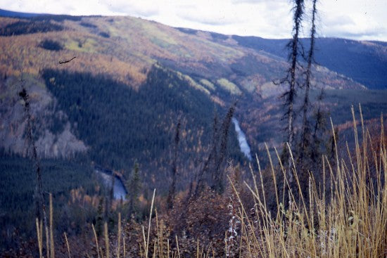 Road to Chicken Creek, Alaska,  September 1968.