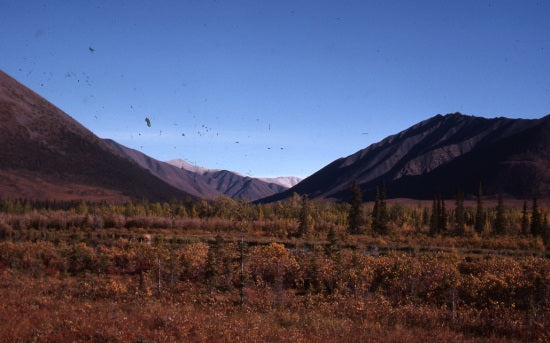 View from the Dempster Highway, August 3, 1977.