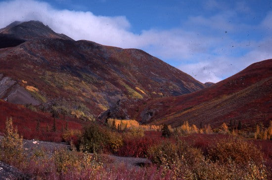 View from the Dempster Highway, September 5,1976.