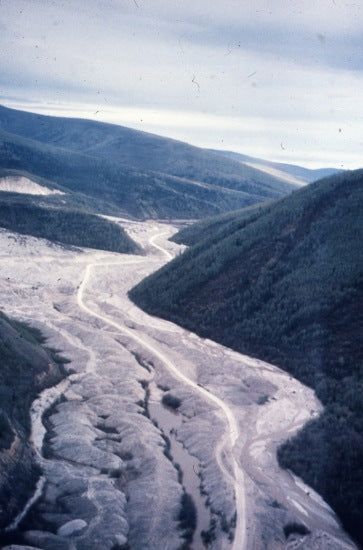 Bonanza Valley, June 1959.