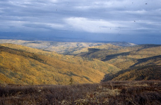 Klondike Valley, cAugust 1976