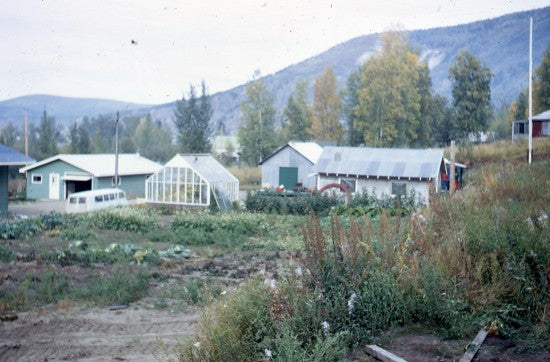 Yukon Forest Service Station, September 1968.