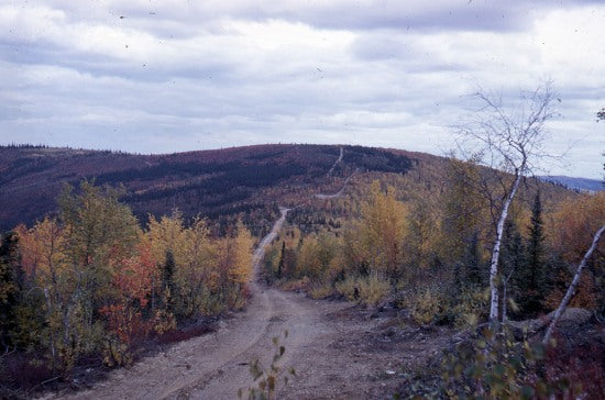 Old Fire Lines to the North of Dawson City, August, 1969.