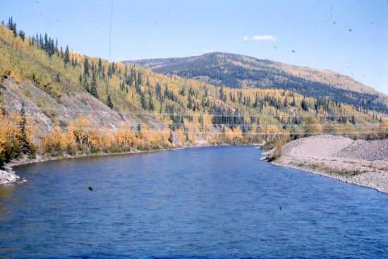 Klondike River,  September 1965.