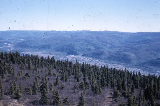 Klondike Valley, June 1967.