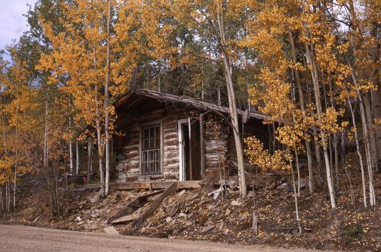 Cabin on Dominion Creek,  September 1963.