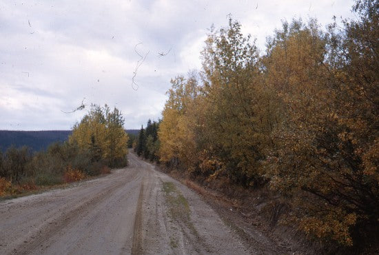 Road Up Hunker Creek,  September 1963.