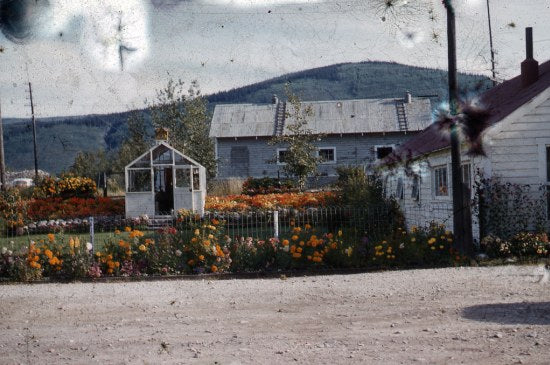 Bear Creek, c1975.