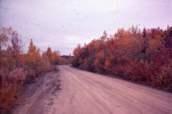 Road on Bonanza Creek, September, 1975.
