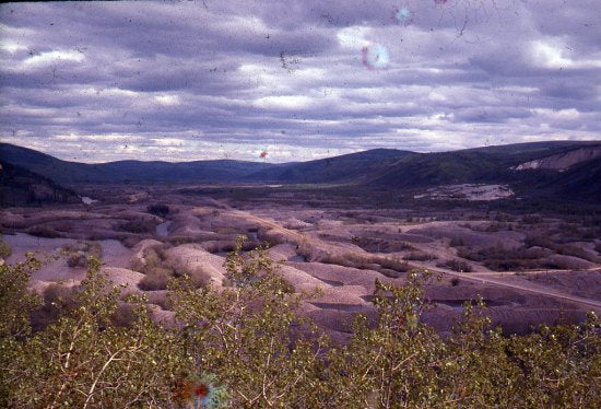 Klondike Valley, June 1975.